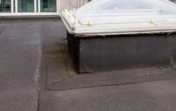 disadvantages of Mothecombe flat roofs